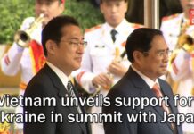 Vietnam Unveils Support for Ukraine in Summit with Japan, 2 May 2022