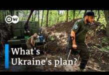 Ukraine Looks to Retake Territory as Russia Pushes for Regime Change, 25 July 2022