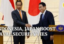 Indonesia and Japan Boost Naval Security Ties amid Concern over China’s South China Sea Actions, 28 July 2022