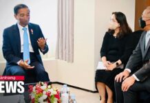 Indonesian President Joko Widodo Discusses Ways for Korean Firms to Boost Investment in Indonesia, 28 July 2022