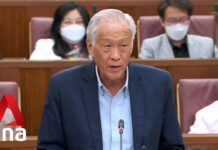 Digital and Intelligence Service to Be Set up after Amendments Passed to SAF Act, Constitution, 2 August 2022