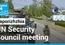 Strikes at Ukraine Nuclear Plant Lead UN Chief to Call for Demilitarised Zone, 12 August 2022