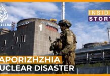 Can a Nuclear Disaster at Zaporizhzhia Be Averted? 20 August 2022