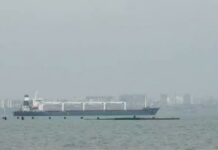 First Grain Shipment since Russian Invasion Leaves Ukraine, 1 August 2022