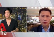 Prof Thitinan Pongsudhirak on Thai Constitutional Court Suspending PM Prayut, 24 August 2022