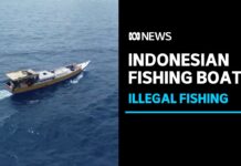 Surge in Indonesian Boats Fishing Illegally in Australian Waters, 23 August 2022