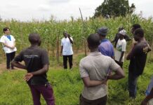 Africa: Japan’s Agricultural Cooperation, 26 August 2022