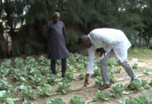 Japan and the Fight against Desertification in Africa, 26 August 2022