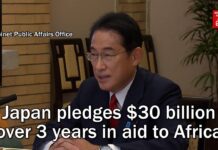 Japan Pledges $30 Billion over 3 Years in Aid to Africa, 29 August 2022