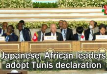 Japanese, African Leaders Adopt Tunis Declaration, 29 August 2022