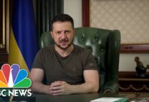 Zelenskyy Slams Amnesty International Report Critical of Ukraine, 5 August 2022