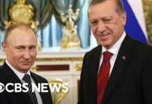 Putin Meets with Turkish Counterpart Erdogan, 5 August 2022