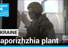 Ukraine’s Nuclear Chief Calls for Military-free zone at Zaporizhzhia Plant, 8 August 2022