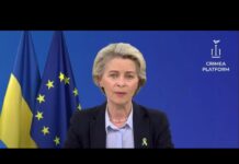 Second Crimea Platform Summit, 23 August 2022