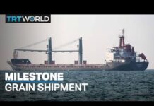 1M Tonnes of Agricultural Produce Shipped from Ukraine, 27 August 2022