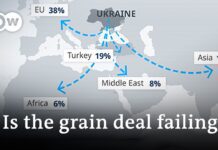 Putin Threatens to Pull out of Grain Deal ahead of Meeting Turkey’s Erdogan, 16 September 2022