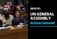 UN Continuation of the Eleventh Emergency Special Session, Russian Annexations in Ukraine, 12 October 2022