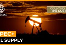 Why Did OPEC+ Slash Oil Output? 15 October 2022