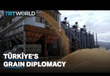 Grain Prices Decrease Globally as Ships Are Inspected in Istanbul, 5 October 2022