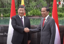 China, Indonesia Set Good Example of Solidarity, Win-Win Cooperation Among Developing Countries: Xi, 17 November 2022