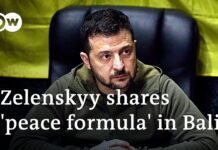 Zelenskyy Addresses World’s Wealthiest Nations at G-20 Summit, 15 November 2022