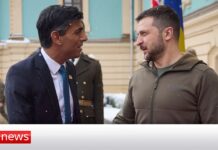 PM Rishi Sunak and Zelenskyy Discuss ‘Global Security’, 19 November 2022