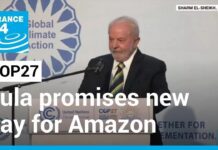 At Climate Summit, Brazil’s Lula Promises New Day for Amazon, 17 November 2022