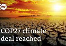 Deal Reached at COP27: What’s in It and What’s Missing? 19 November 2022