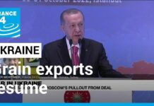 Ukraine Grain Exports Resume as Turkey Fights to Save Deal, 31 October 2022