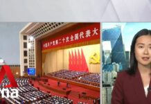China’s President Xi highlights Hong Kong, Taiwan, COVID-19 in Opening Speech, 16 October 2022