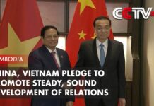 China, Vietnam Pledge to Promote Steady, Sound Development of Relations, 12 November 2022