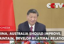 China, Australia Should Improve, Maintain, Develop Bilateral Relations: Xi, 15 November 2022
