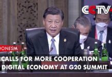 Xi Calls for More Cooperation in Digital Economy at G20 Summit, 16 November 2022