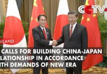 Xi Calls for Building China-Japan Relationship in Accordance with Demands of New Era, 18 November 2022
