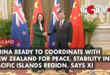 China Ready to Coordinate with New Zealand for Peace, Stability in Pacific Islands Region, Says Xi, 19 November 2022