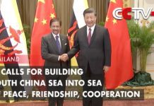Xi Calls for Building South China Sea into Sea of Peace, Friendship, Cooperation, 19 November 2022