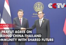 Xi, Prayut Agree on Building China-Thailand Community with Shared Future, 20 November 2022