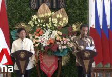 Philippine President Marcos Jr Meets Indonesian Counterpart Jokowi in First Official Overseas Trip, 5 September 2022