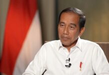 Indonesian President: Potential for Cooperation between China and Indonesia Is Huge, 20 October 2022