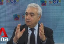 Southeast Asia Should Invest More in Clean Energy, Diversify Import Sources, Says Expert, 26 October 2022