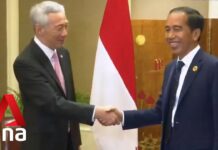 Singapore, Indonesia Reaffirm Shared Priorities in Bilateral Meeting, 10 November 2022