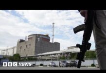 Ukraine Disconnects Zaporizhzhia Nuclear Plant after Russian Shelling, 3 November 2022