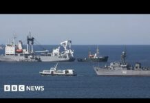 ‘Massive’ Drone Attack on Black Sea Fleet, Russia Says, 29 October 2022