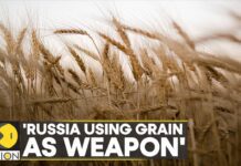 Russia Ukraine War: Kyiv Hosts ‘Grain Summit’, Lithuania Says ‘Moscow Using Grain as Weapon’, 27 November 2022