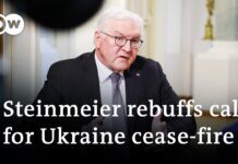 Steinmeier: ‘A Cease-fire Now Would Mean Russia Would Keep the Territories It Has Occupied’, 29 November 2022