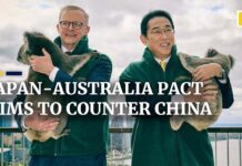Japan, Australia to Share Intelligence on ‘China’s Intentions’ under New Security Pact, 24 October 2022