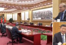 Pak PM Shehbaz Sharif Meets Chinese Pres Xi in Beijing, Says No Other Country Is as Sincere as China, 2 November 2022