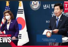 Kim Jin-pyo and Nancy Pelosi Agree to Support Efforts for N. Korean Denuclearization and Peace, 5 August 2022