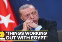 Turkiye-Egypt Relations: President Erdogan Hints, Things Can Work out with Syria as with Egypt, 28 November 2022