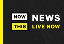 Deputy Pentagon Press Secretary Sabrina Singh Is Holding a Press Briefing, 22 November 2022